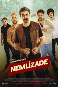 Poster do filme Nemlizade