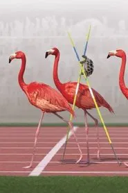 Athleticus: Middle-Distance Race movie poster