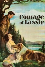 Courage of Lassie movie poster
