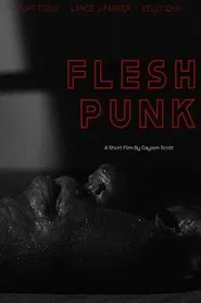 Fleshpunk movie poster