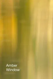 Amber Window movie poster