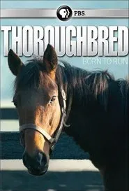 Thoroughbred: Born to Run movie poster