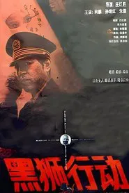 Poster do filme 黑狮行动
