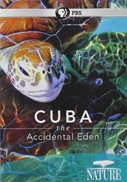 Cuba: The Accidental Eden movie poster