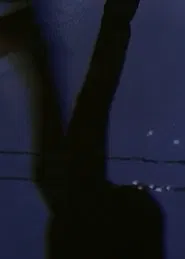 [W I N G S O F L O V E] movie poster