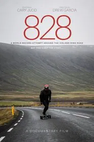 Poster do filme 828