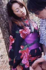 Poster do filme Shufu no Sei: Midara na Yagai Etchi