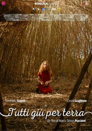 Tutti giù per terra movie poster