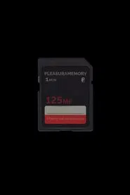 Pleasuramemory movie poster