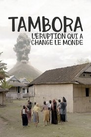 The Volcano That Changed The World movie poster