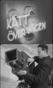 Cat Across the Road movie poster
