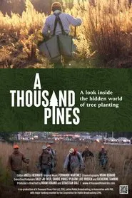 A Thousand Pines movie poster