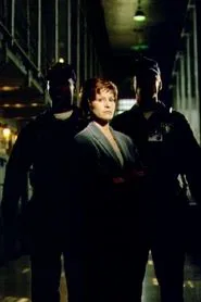 The Warden movie poster