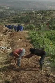 Untold Revolution: Food Sovereignty in Palestine movie poster