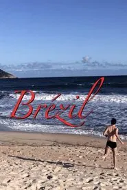 Brézil movie poster