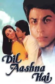 Poster do filme Dil Aashna Hai