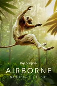 Airborne tv show poster