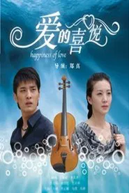 爱的喜悦 movie poster