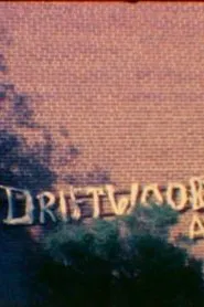 I Dream of Driftwood movie poster