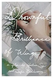 A Drownful Brilliance of Wings movie poster