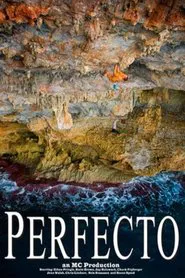 Poster do filme Perfecto