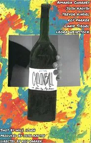 Poster do filme Calvinball