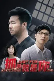 抓的就是你 tv show poster