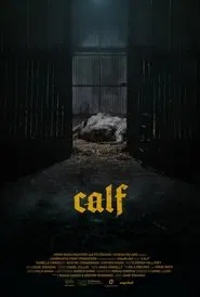 Calf movie poster