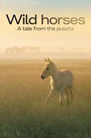 Wild Horses - A Tale From The Puszta movie poster