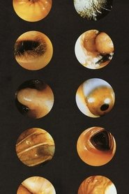 Poster do filme Corps Étranger