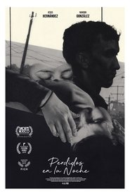 Lost in the Night movie poster