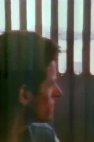 The Blue Nile: Flags and Fences movie poster