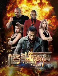 格斗与激情 movie poster