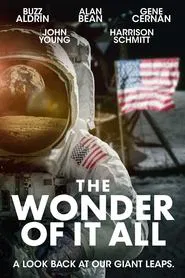 The Wonder of It All movie poster
