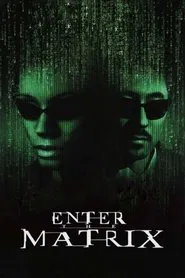 Making 'Enter the Matrix' movie poster