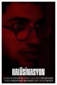 The Hallucination movie poster
