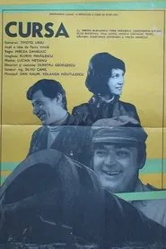 Poster do filme The Long Drive