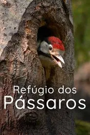 Refúgio dos Pássaros movie poster