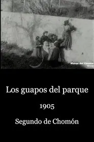 The Gallants of the Park movie poster