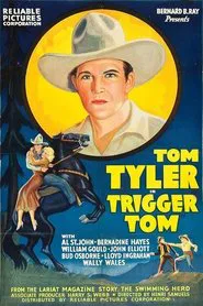 Poster do filme Trigger Tom