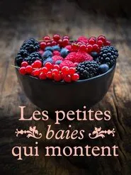 Poster do filme Les petites baies qui montent
