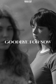 Goodbye for Now movie poster