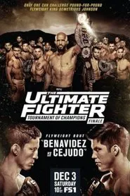 The Ultimate Fighter 24 Finale movie poster