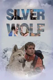Poster do filme Um Lobo Chamado Silver