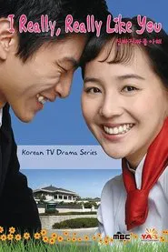 I Really Really Like You tv show poster