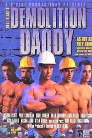 Demolition Daddy movie poster