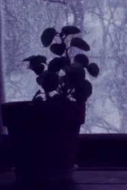 In my Hometown I-III movie poster