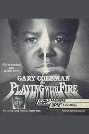 Playing with Fire movie poster