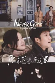 Never Gone tv show poster