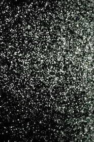 History movie poster